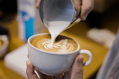 Nova | Double Insulated Latte Art Pitcher