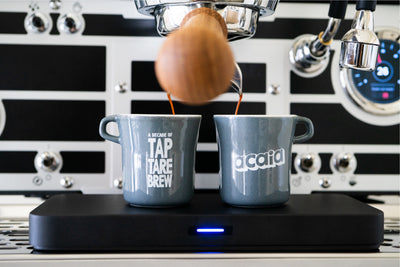 Mini Tasting Cup 2 oz